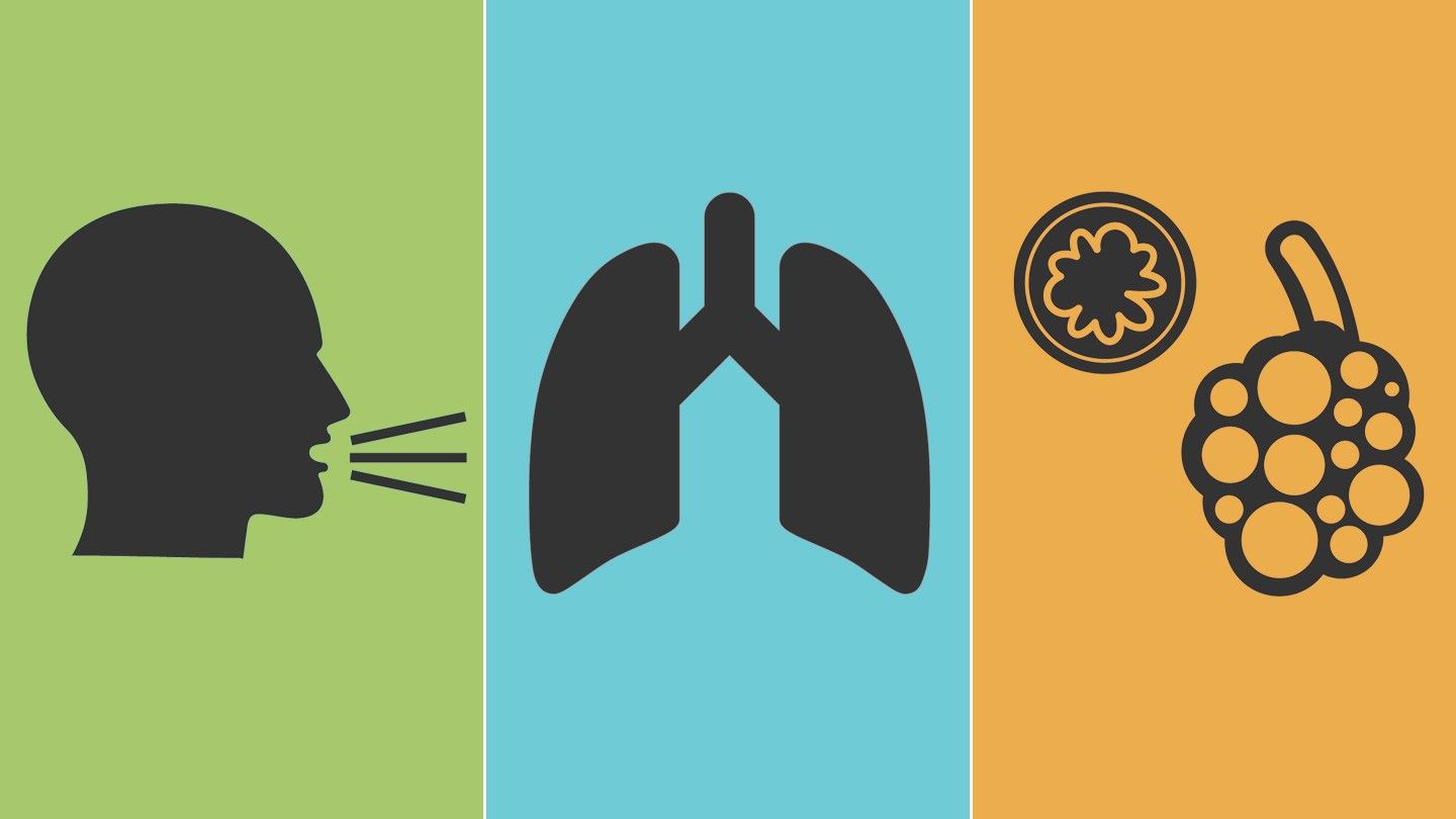 What Do You Really Know About COPD?